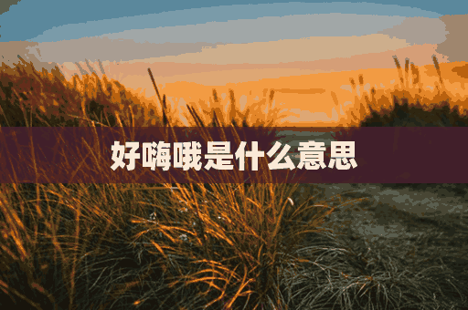 好嗨哦是什么意思